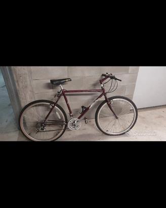 Mountain bike Fishwr 