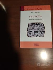 Enea Bertoli, Cinque studi latini