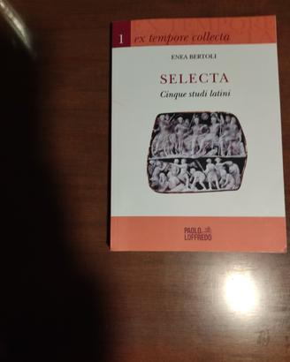 Enea Bertoli, Cinque studi latini