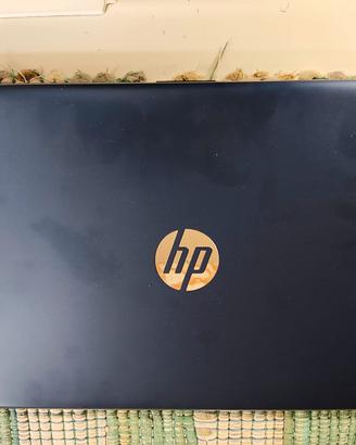 HP Stream Laptop 14 pollici Notebook