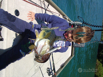 Scafo in alluminio Tracker Topper 12w TMT READY