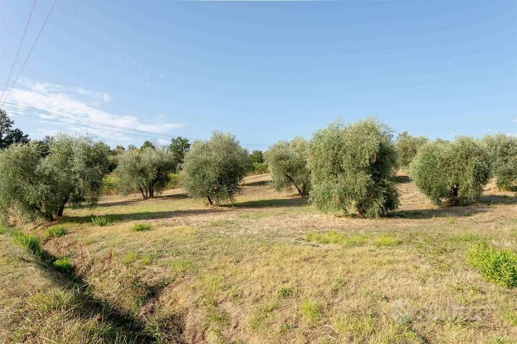 Rustico / Casale di 600 m² con più di 5 locali a P - Altro