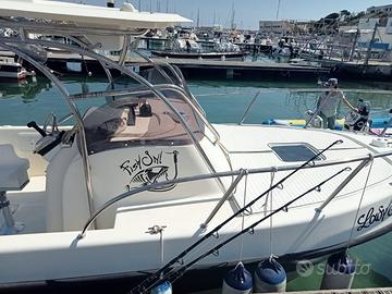 Murena 730 Walkaround 8 m – Motore Mercury 200 cv,