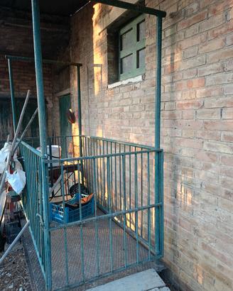 bilancia per animali 