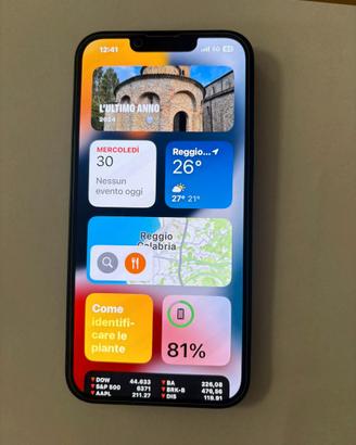 Smartphone cellulare Iphone 13