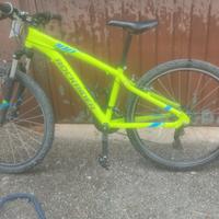 mtb 26 St109 Rokrider nuova con deragliatore nuovo