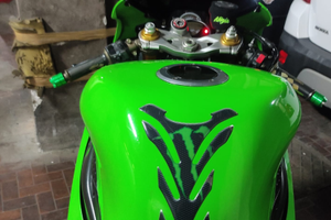 Ninja 636 2005-06