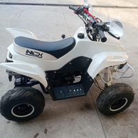 Mini Quad per bambini 125cc