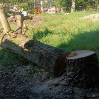 A disposizione
