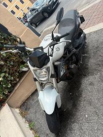 Benelli 300 bn
