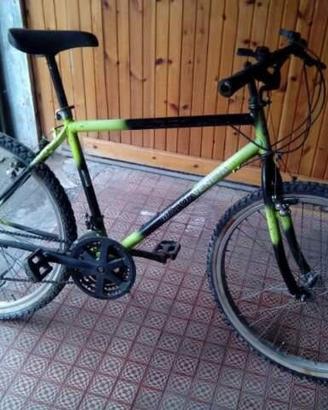 Mountain bike vicini