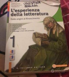 L'esperienza della letteratura Vol 1 9788880208181