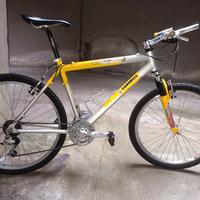 bicicletta mountain Bike carnielli in alluminio 