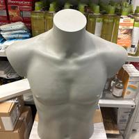 Busto