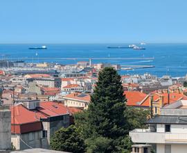 Terrazzo abitabile vista totale città e mare