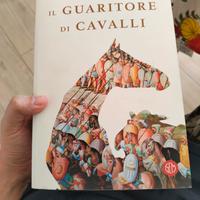 Il guaritore di cavalli, Giner