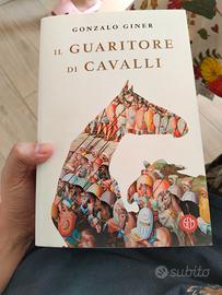 Il guaritore di cavalli, Giner