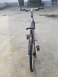 bicicletta mountain bike 