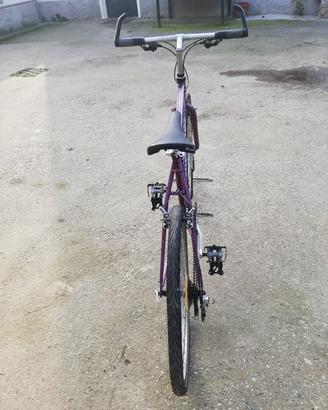 bicicletta mountain bike 