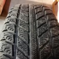 gomme e cerchi 195/55/15