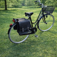 Borsa doppia vintage per bicicletta da portapacchi