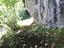 Immagine 28