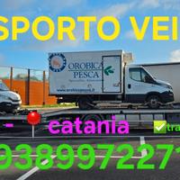 BARCA da pesca + mercury 115 + TRASPORTO