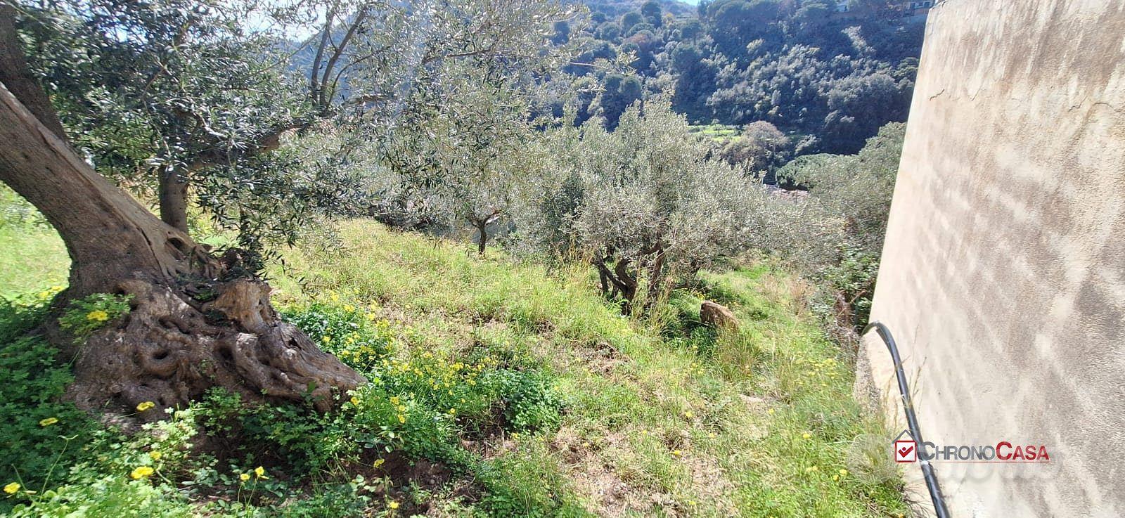 Rodia, terreno agricolo di circa 1000 mq - Vista 2