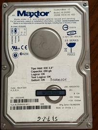 Maxtor hard disk 250 Gb 3.5 interno PATA 6L250R0