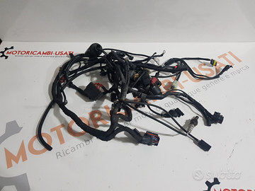 Treccia impianto elettrico Ducati hypermotard 1100