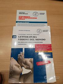libro letteratura visione del mondo 9788858329733