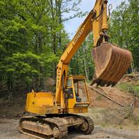 escavatore cingolato 