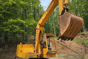 escavatore cingolato 