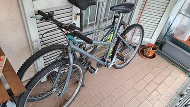 Bici mountain bike raggio 26