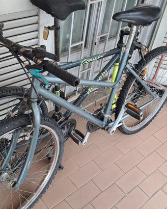 Bici mountain bike raggio 26
