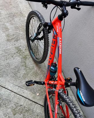 Mountain bike
