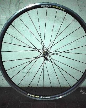 Ruota Anteriore 28 raggi (mozzo Campagnolo Super R