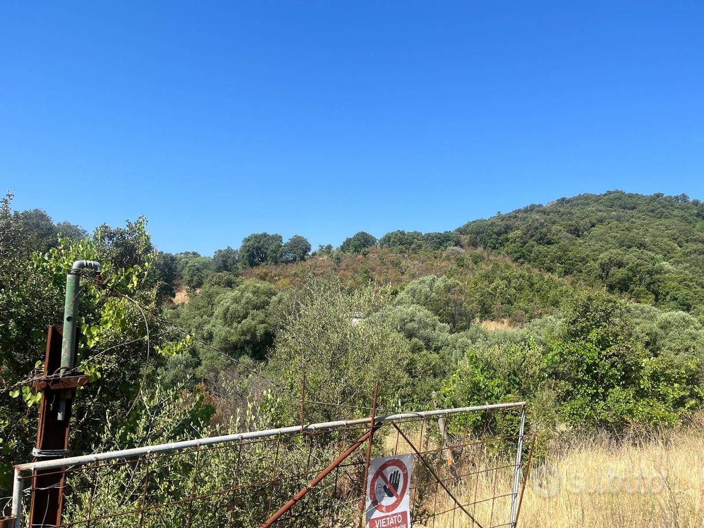 Terreno Agricolo - Monti Rif: T1046-110 - Vista 4