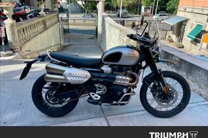 TRIUMPH Scrambler 1200 X Icon Edition Abs