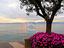 Immagine 22