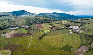 Terreno recintato per tartufaie + capannone agric
