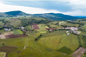 Terreno recintato per tartufaie + capannone agric