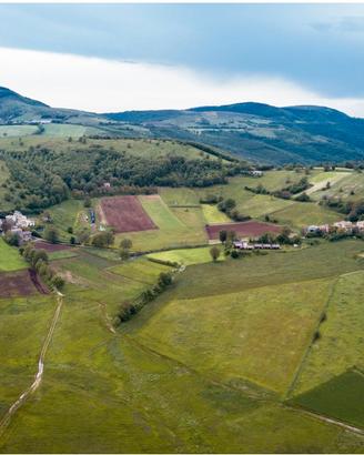 Terreno recintato per tartufaie + capannone agric