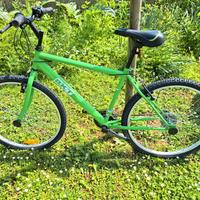 mountain bike verde