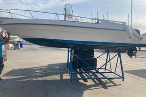 Bellingardo 630 + Suzuki 70 cavalli