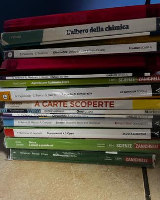 Biennio Istituto Buonarroti-Vilta