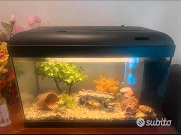 Acquario Pesci 45 Litri