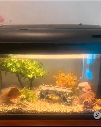 Acquario Pesci 45 Litri