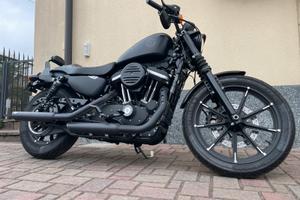 Harley-davidson 883 sportster iron
