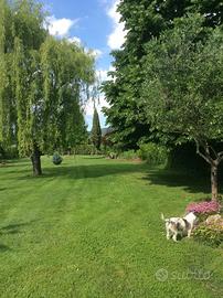 Porzione di Colonica in Valdinievole